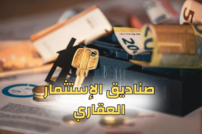 مقارنة استثمارية: صناديق الاستثمار العقاري أم شراء شقق للبيع في بيت الوطن؟
